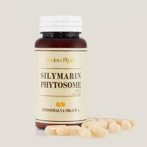 Silymarin Phytosome 480mg 30 kapsula