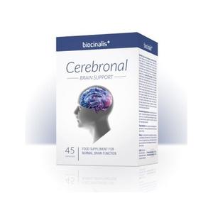 Cerebronal kapsule a45